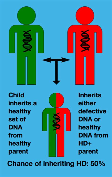 About Huntington Disease Hereditary Neurological Disease Centre