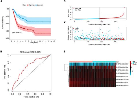 Frontiers An Enhancer Rna Based Risk Model For Prediction Of Bladder