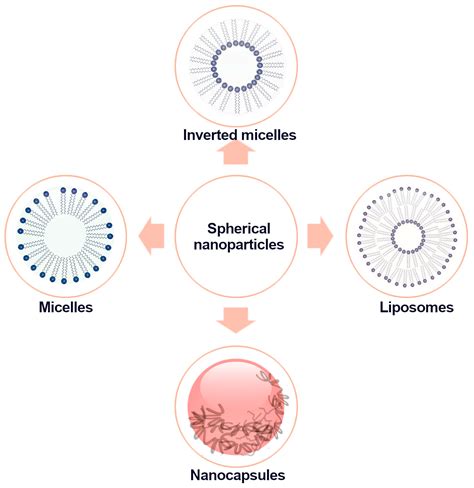 Applied Sciences Free Full Text Nano Microcapsules Liposomes And