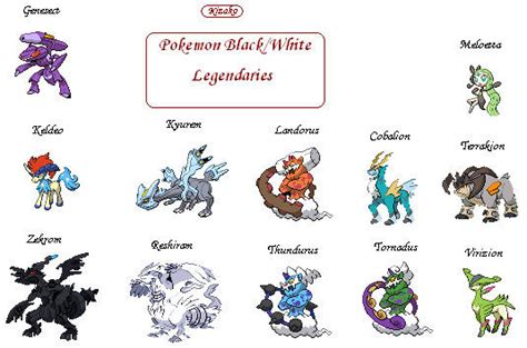 Pokemon Black Legendaries by Kizako on DeviantArt