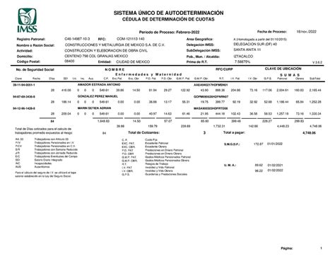 Febrero M Sistema Nico De Autodeterminaci N V C Dula