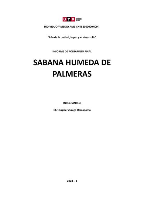 Semana Estructura Para El Informe Final Ptf Individuo Y Medio