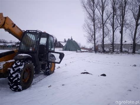 Wycinka Zdj Cie Fotka Foto Numer Galeria Rolnicza Agrofoto