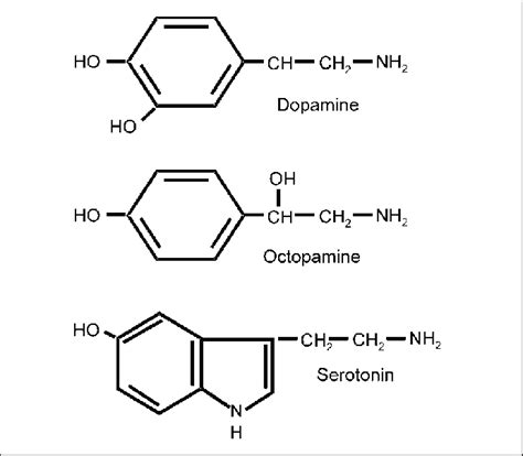 Chemical Structure Of Three Monoamines Dopamine And Octopamine Derive