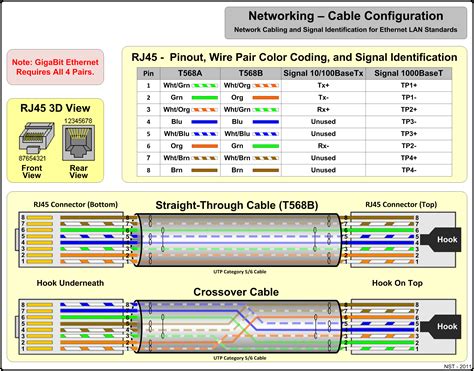 Ethernet Wiring Network Cable Networking Infographic