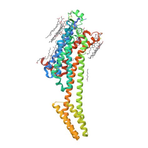 RCSB PDB 4EIY Crystal Structure Of The Chimeric Protein Of A2aAR