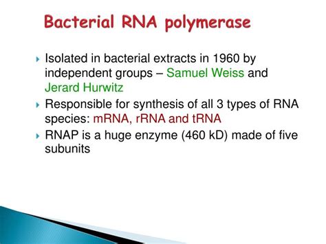 Ppt E Coli Rna Polymerase Powerpoint Presentation Id6147560