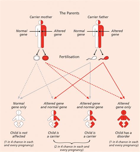 Sickle Cell Disease – Know Your Genotype