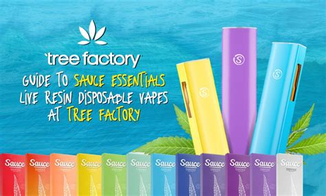 Sauce Essentials Live Resin Disposable Vapes Guide Tree Factory