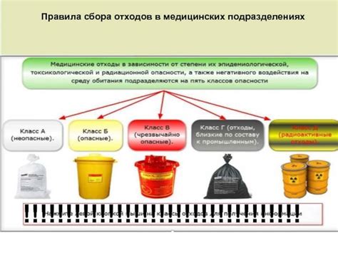 Хранение, дезинфекция и утилизация отходов класса Б. Опасные ...