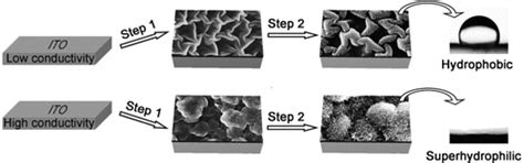 Nanowirebased Polypyrrole Hierarchical Structures Synthesized By A Two