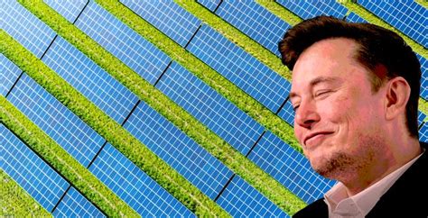 Elon Musk - Solar Farm - Solar Energy