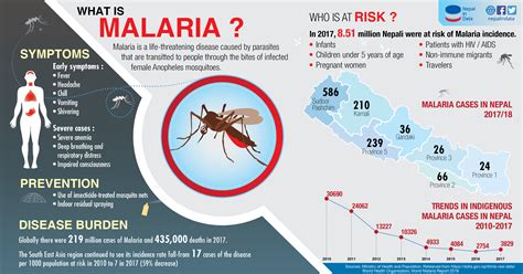 Malaria rash: Malar Rash – StatPearls – NCBI Bookshelf