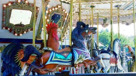 Carousel at RIO Boardwalk Pl photo ConchettaT | Carousel, Boardwalk, Photo