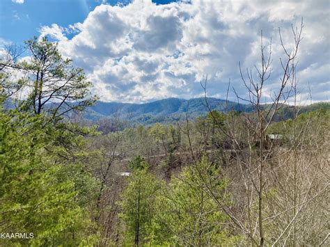 Townsend Tn Real Estate Townsend Homes For Sale ®
