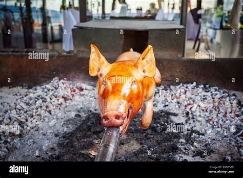 Filipino Roasted Pig Hi Res Stock Photography And Images Alamy