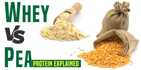 Pea Protein Vs Whey Protein Know The Difference