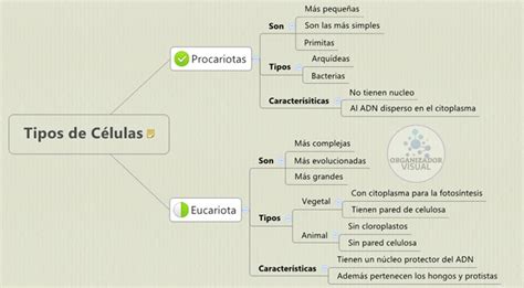 Arriba 98 Imagen Postulados De La Teoria Celular Mapa Mental Abzlocalmx