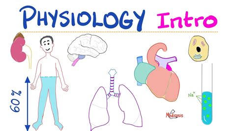 Physiology Introduction What Is Physiology A Complete Playlist