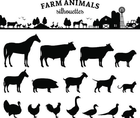 livestock clipart free 10 free Cliparts | Download images on Clipground ...