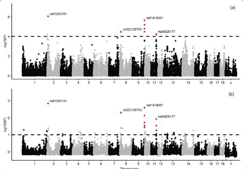 Manhattan Plots For The Genome Wide Association Analysis Of The