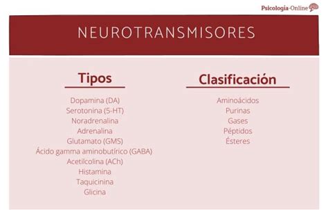 Neurotransmisores Tipos Funciones Y Clasificación Psiquisalud