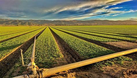 Arizona Agriculture Makes The Desert Green