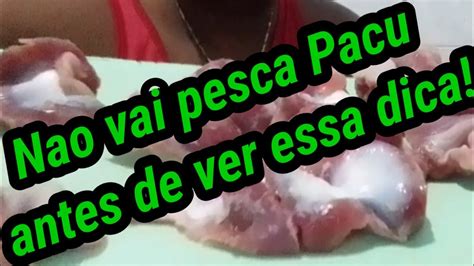 Dica Excelente Para Pesca De Pacu Nao Deixe De Incluir Essa Isca Na