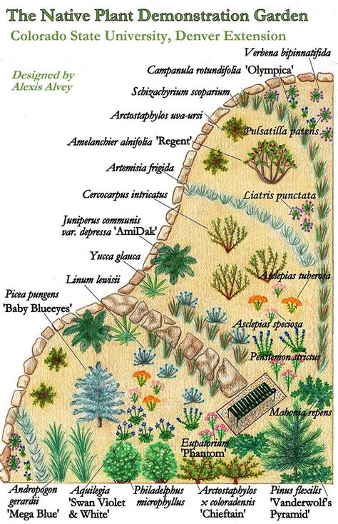 Xeriscape Design Templates - Printable Word Searches