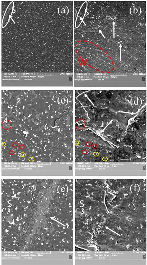 Sem Micrographs Of Sample At Different Magnifications Taken On A