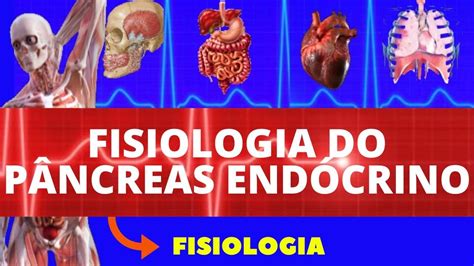 Fisiologia Do P Ncreas End Crino Fisiologia De Guyton Insulina E