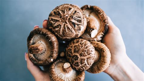 What Are Shiitake Mushrooms And What Do They Taste Like?