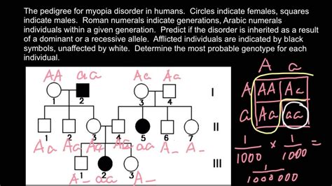 Example Of Solution Of The Simple Pedigree Problem Youtube