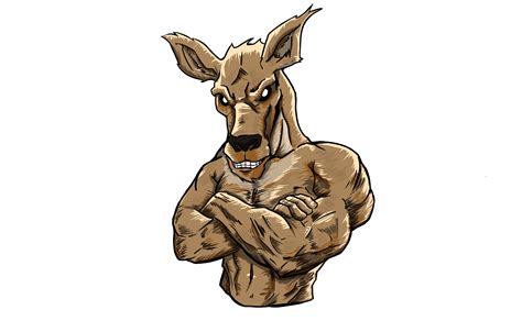 Angry Kangaroo Drawing :: Behance