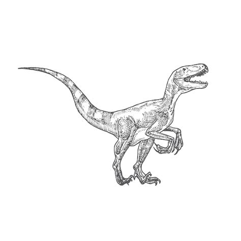 Dinosaurio Prehist Rico Doodle Vector Ilustraci N Dibujado A Mano