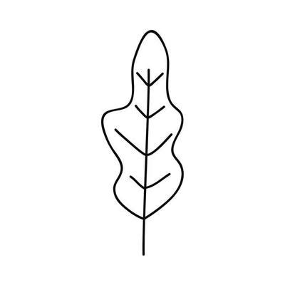 Plant Leaf Outline Vector Art, Icons, and Graphics for Free Download