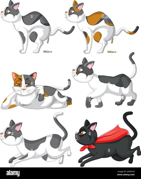 Set Of Cat Cartoon Character Illustration Stock Vector Image And Art Alamy