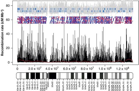 A Fine Scale Map Of Recombination Rates And Hotspots Across The Human