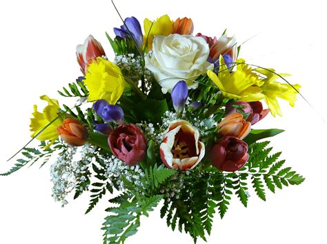 Fresh Bouquet Transparent Png Stickpng