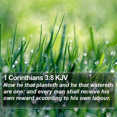 1 Corinthians 3:8 KJV Bible Verse Images