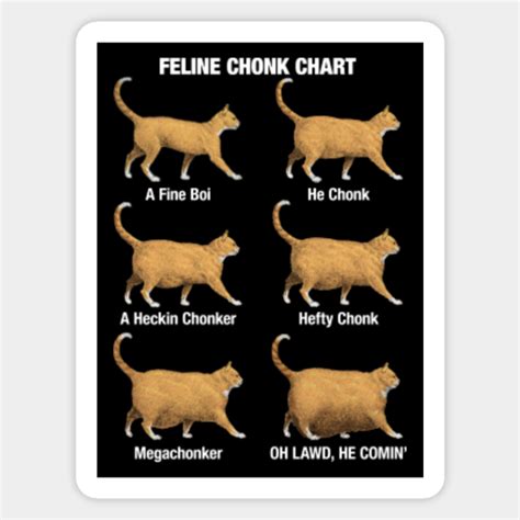 Feline Chonk Chart, Funny Chonk Cat Meme - Chonk Cat - Magnet | TeePublic