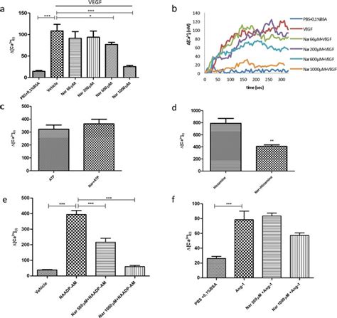 Naringenin Impairs Two Pore Channel 2 Activity And Inhibits VEGF