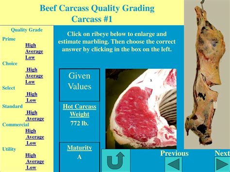 Ppt Beef Carcass Quality Grading Cde Practice Based On The 2003