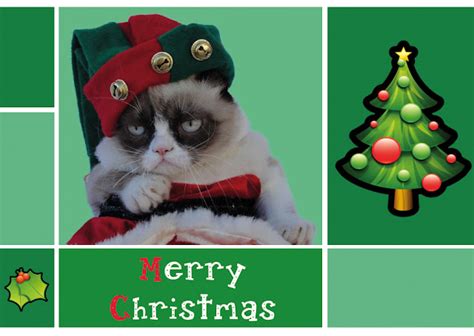 Grumpy Cat Christmas | Funny Collection World