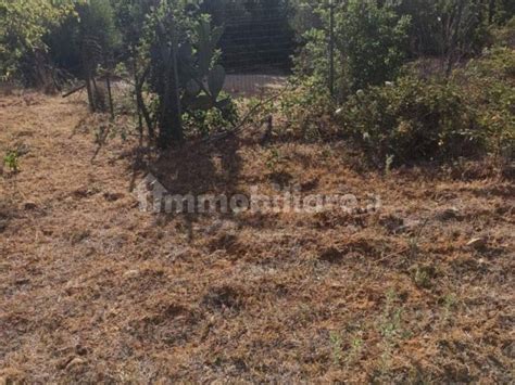 Terreno Agricolo Via Molinello Castellammare Del Golfo Rif