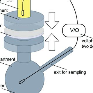 Modified Franz diffusion cell setup including positioning of the ...