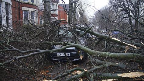 Deux Morts Dans La Chute D Arbres Alors Que La Temp Te Darragh Frappe