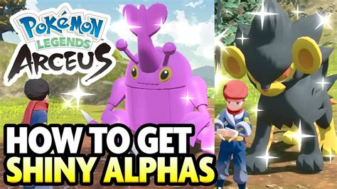 How To Get SHINY ALPHA POKEMON In Pokemon Legends Arceus YouTube