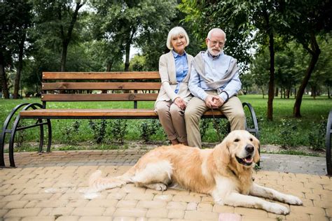 7 Best Pets for Seniors: Dogs, Goldfish, & More!