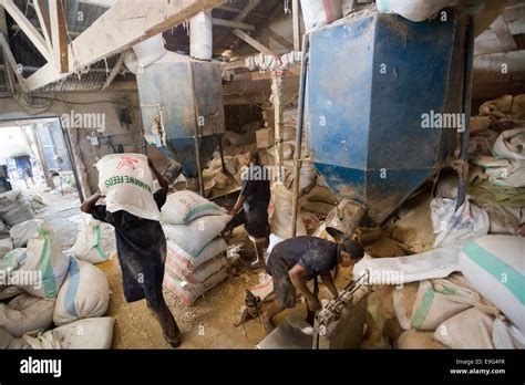 Chicken Processing Plant Hi Res Stock Photography And Images Alamy